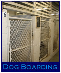 Title Shot Kennels Dog Boarding