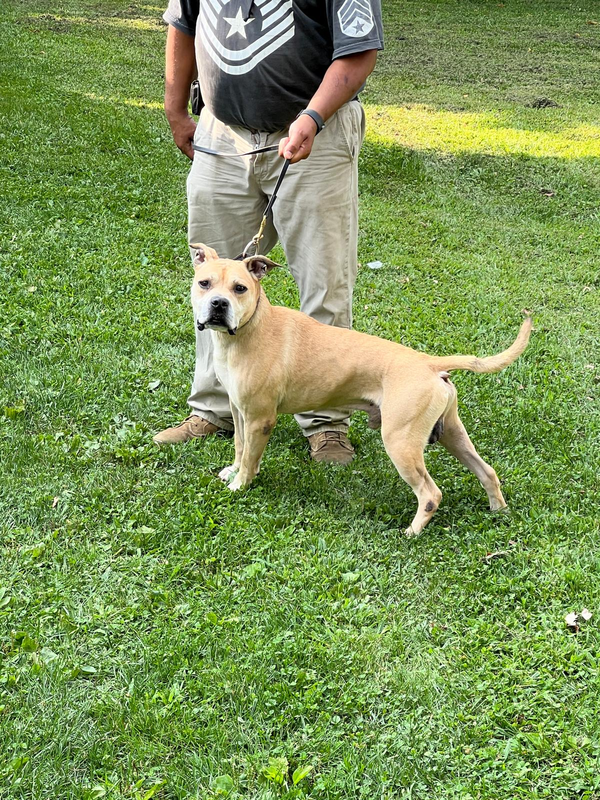 Click picture to ZOOM