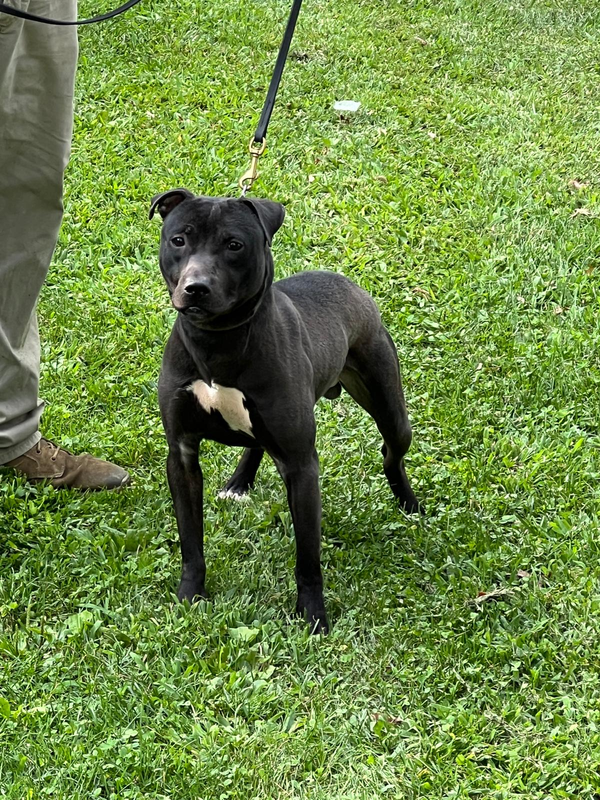 Click picture to ZOOM