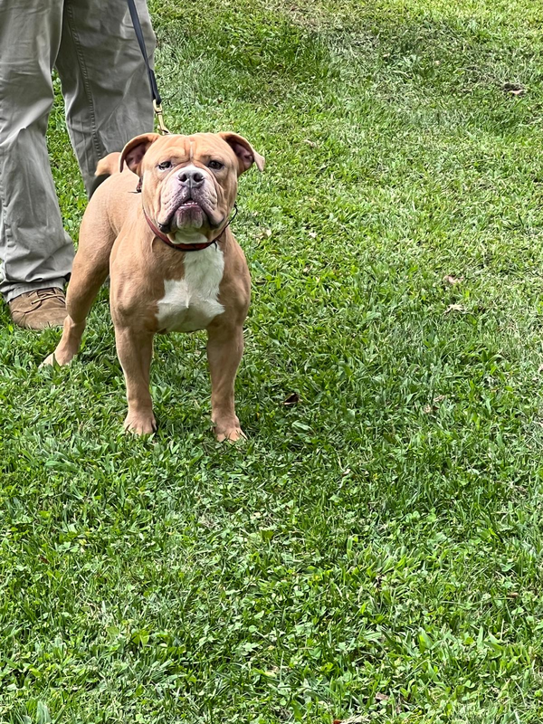 Click picture to ZOOM