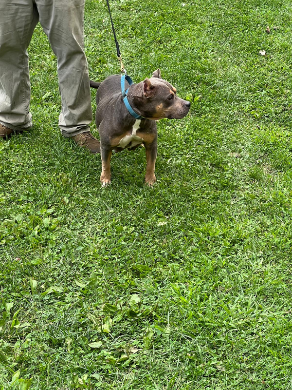 Click picture to ZOOM