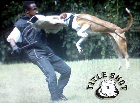 Bullseye APBT airborne
