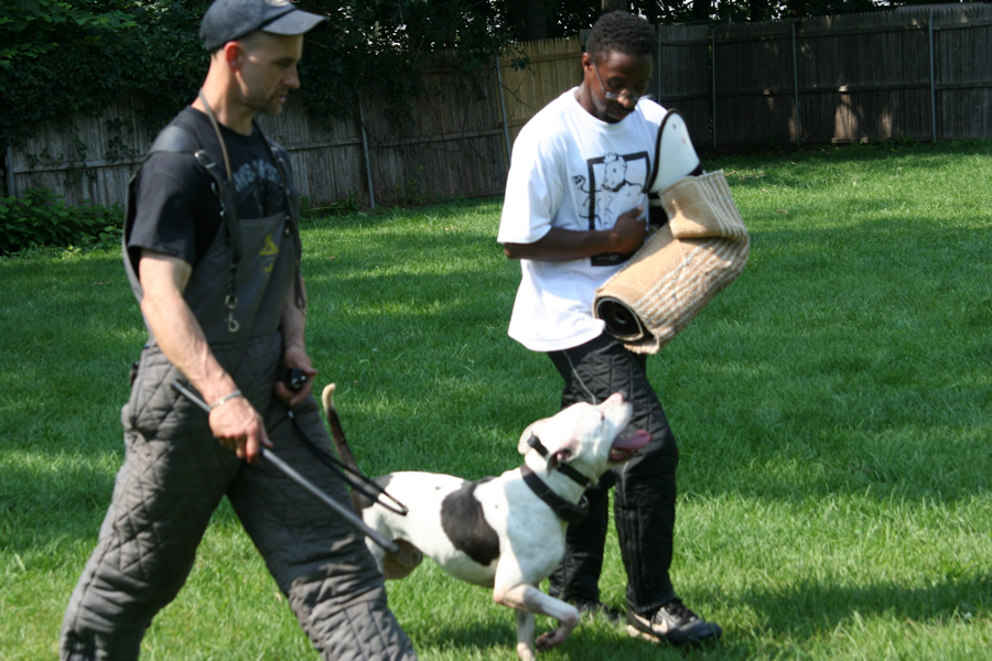 VIRGIL APBT SCH-BH PERFORMING THE EXCORT